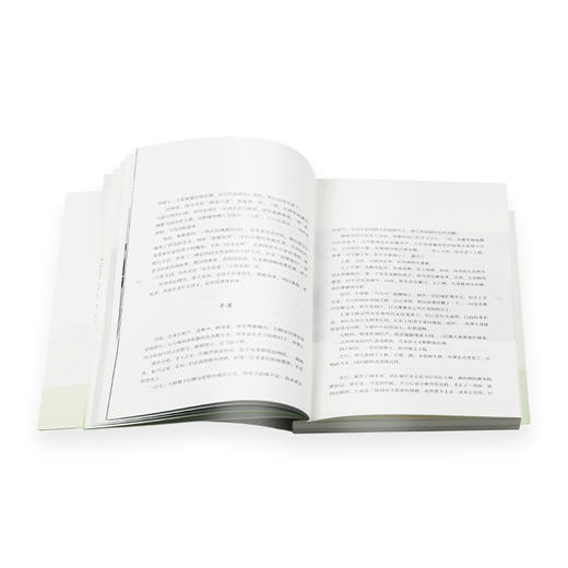 庐山禅行 杨振雩著 三联书店官方旗舰店 商品图3