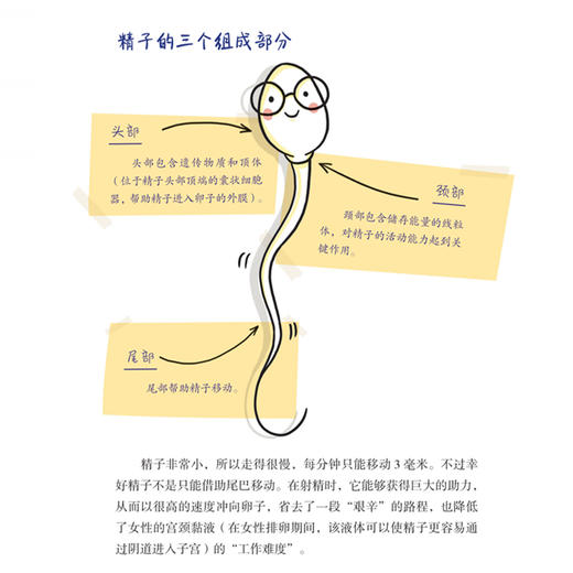《精子有话说》 商品图10