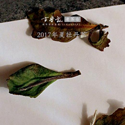 方守龙老茶仓 2017年夏醇白牡丹 福鼎白茶标杆之藏[官方旗舰正品] 商品图1