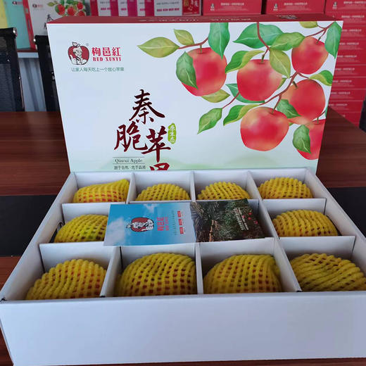 地理标志产品 栒邑红 正宗陕西旬邑秦脆苹果 咸阳马栏红核心产区 新鲜水果脆甜苹果 皮薄肉厚 礼盒装生鲜 商品图1
