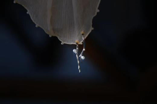 白梅耳环 商品图3