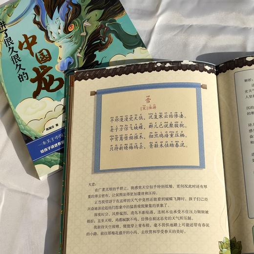 讲了很久很久的中国龙 商品图9
