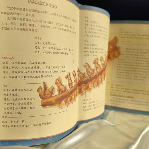 讲了很久很久的中国龙 商品图8