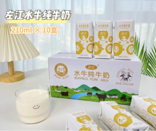 🌈【左江水牛纯牛奶】🥰像冰淇淋一样的水牛奶，你喝过吗？ 快来👏，我这从来不喝奶的人，都爱了🔥 商品图3