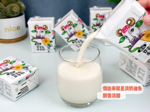 🎈【左江双蛋白水牛奶】🥛作为稀缺奶源，💥每一口都弥足珍贵🍸添加大豆动物蛋白+植物蛋白！！👏双重营养添加自带甘甜 商品图6