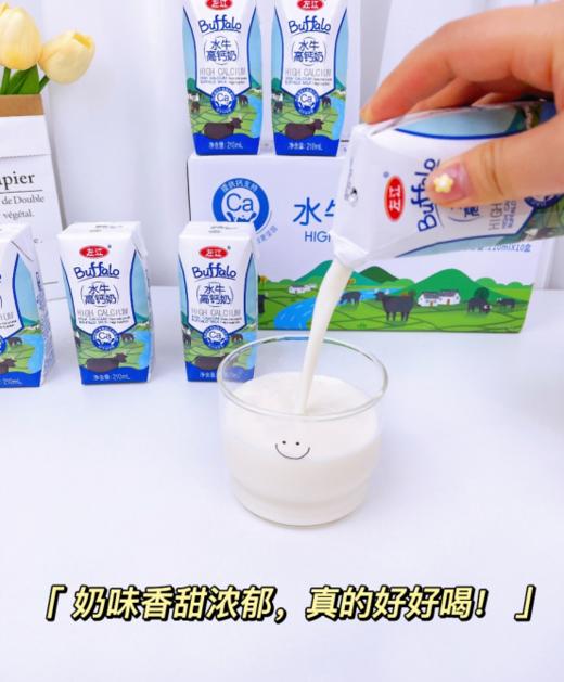 🥳【左江水牛高钙奶】好喝到一滴不剩❗❗❗❗不爱喝纯牛奶的宝宝们都看过来~🥛“钙”世英雄让你重新爱上喝牛奶~🎈 商品图2