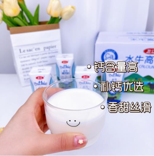 🥳【左江水牛高钙奶】好喝到一滴不剩❗❗❗❗不爱喝纯牛奶的宝宝们都看过来~🥛“钙”世英雄让你重新爱上喝牛奶~🎈 商品图4