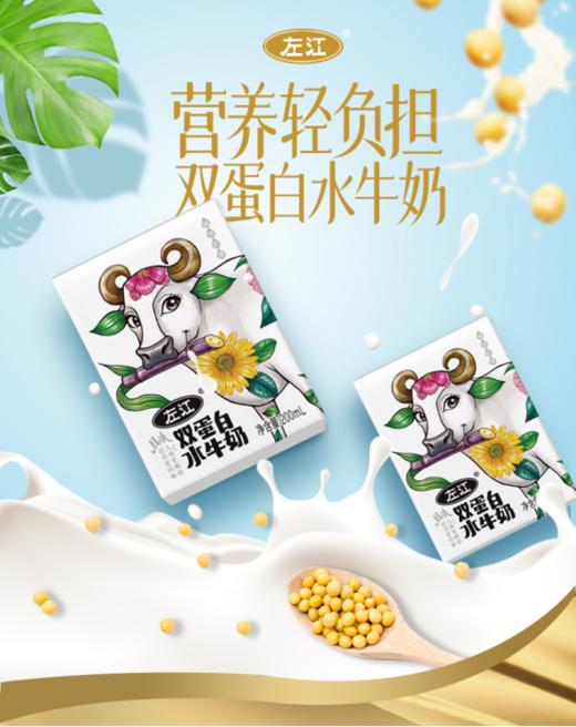 🎈【左江双蛋白水牛奶】🥛作为稀缺奶源，💥每一口都弥足珍贵🍸添加大豆动物蛋白+植物蛋白！！👏双重营养添加自带甘甜 商品图0