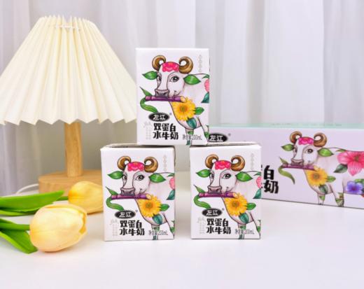 🎈【左江双蛋白水牛奶】🥛作为稀缺奶源，💥每一口都弥足珍贵🍸添加大豆动物蛋白+植物蛋白！！👏双重营养添加自带甘甜 商品图4