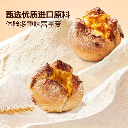 MM 山姆 Member's Mark 无花果乳酪欧包 9个 商品图1