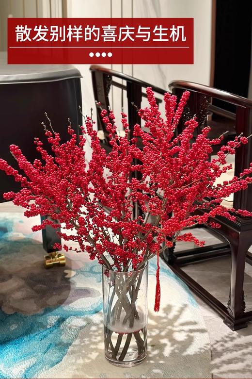 【新年绿植】红果冬青 真花鲜枝摆件新年植物（多样性发货） 商品图1