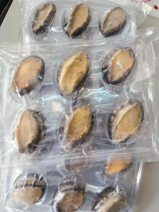 旅顺活冻鲍鱼450-500g/盒，6头/盒，品质媲美活鲍鱼，质量好，鲍鱼在鲜活状态下快速冷冻处理，最大程度保留鲜度和营养新鲜速冻，肉质紧实鲜嫩，东三省包邮。 商品图1