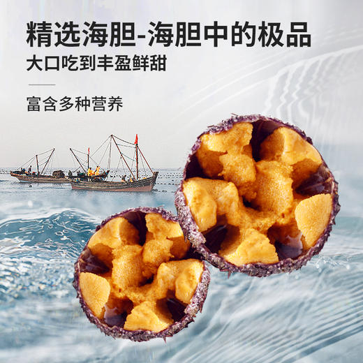 饺好运 珍味鲜虾海胆水饺+海参+小龙虾水饺 国际美味招牌组合 一口饺子满口馅 72小时发货 商品图2