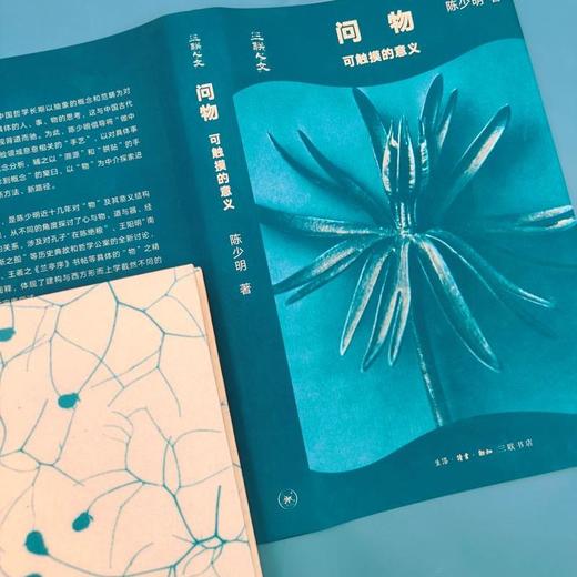 问物可触摸的意义  陈少明 著 三联书店 商品图3