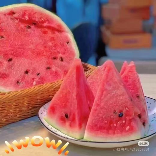 蜜蜂麒麟西瓜一箱(2粒） 商品图3