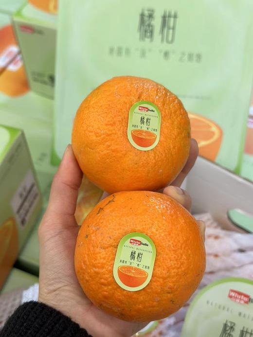 白富美沃柑礼盒装 商品图2