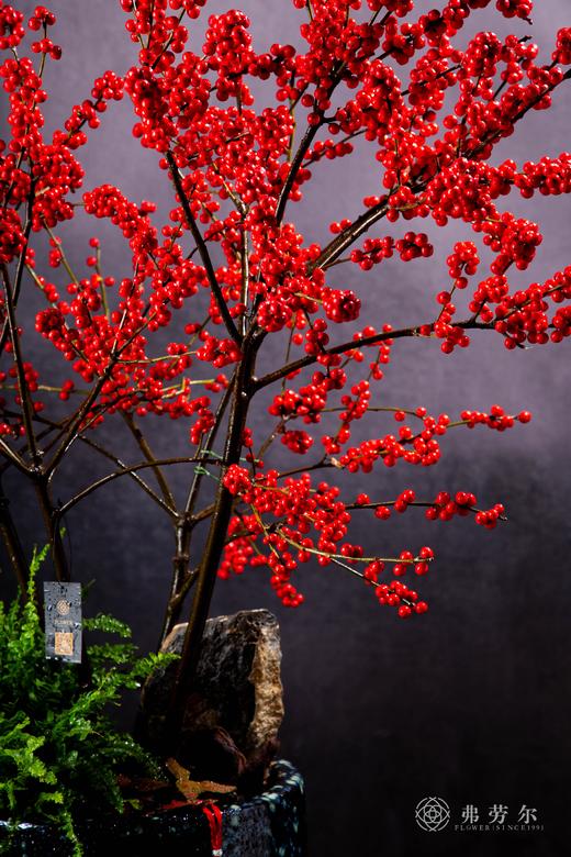 灵蛇启航 商品图1