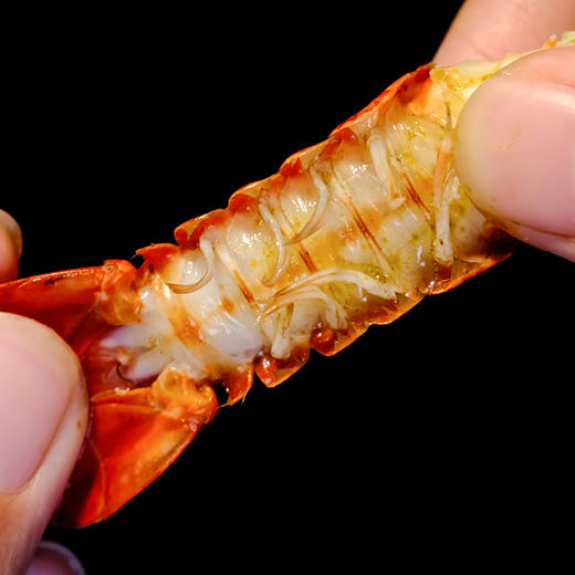 新孟河花雕冰醉小龙虾600g(16-22只) 商品图3