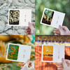 【故宫文具】紫禁月令四季明信片博物馆文创高级感贺卡卡片 商品缩略图3