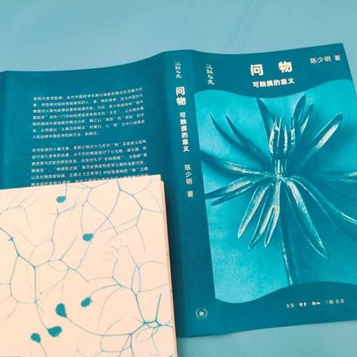 问物可触摸的意义  陈少明 著 三联书店 商品图2