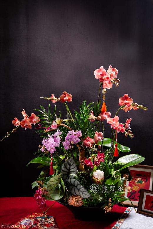 合家团圆 商品图0