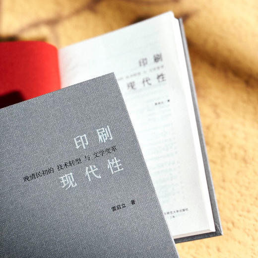 印刷现代性 晚清民初的技术转型与文学变革 雷启立 中国文学 商品图5