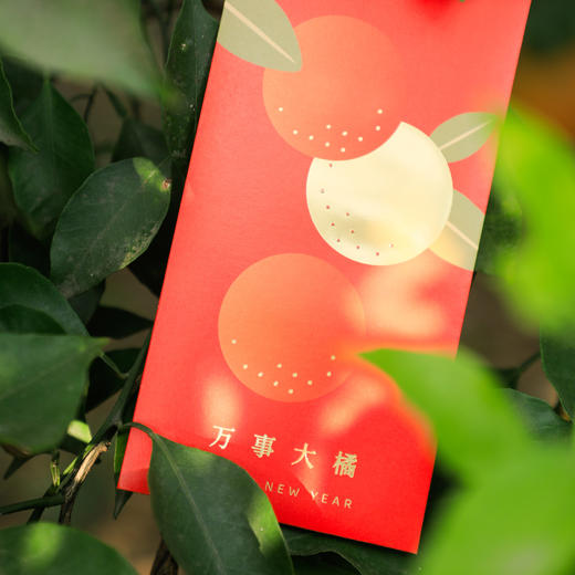 阿柑文创 | 大橘大利红包 /鲜活绽放日历【除自提外，文创单件买不包邮】 商品图3