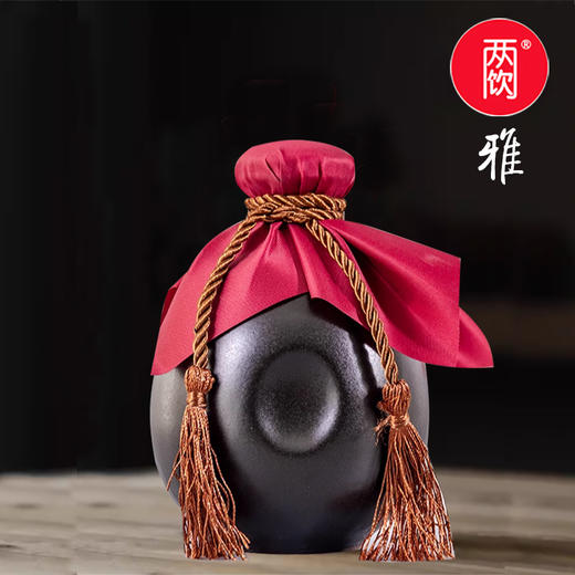 两饮雅 500ml 商品图0