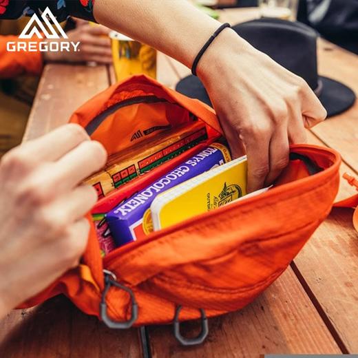 Gregory格里高利NANO WAISTPACK 蜂鸟腰包男女款户外腰包徒步登山包旅行腰包 商品图2