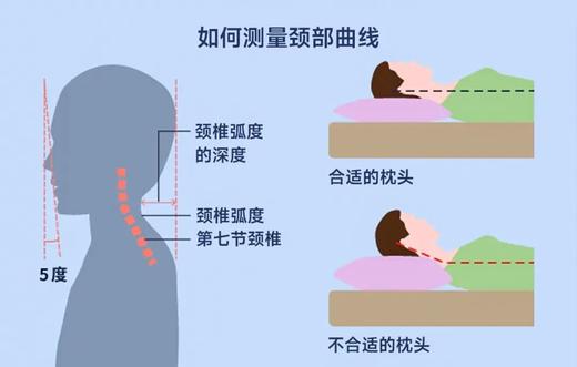 伽罗 JALO 测量颈部曲线用深度尺 商品图2