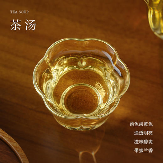 懂茶帝-韦洁群2023年清明六堡茶（七星茶王）250g 商品图2