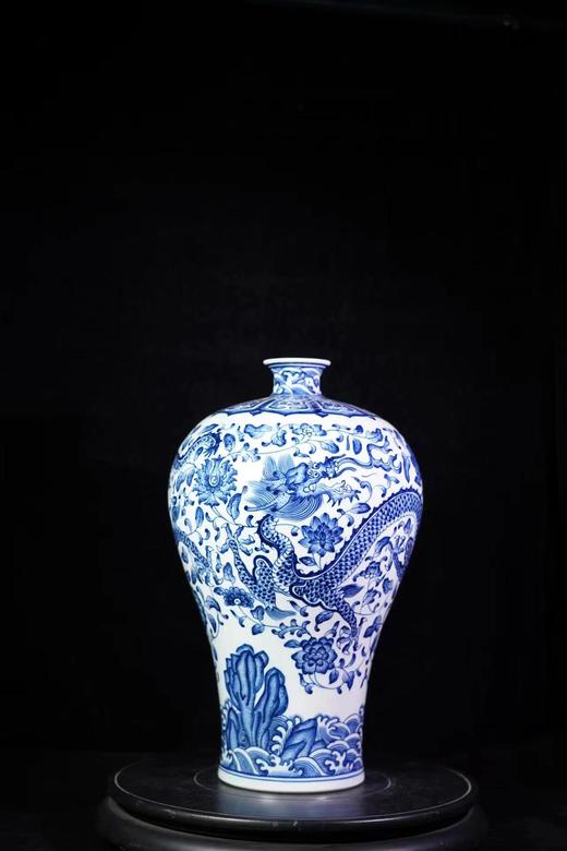 青花双龙缠枝纹梅瓶 商品图0