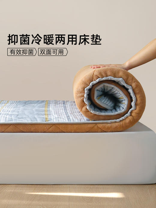 佳丽斯床垫学生宿舍单人夏季租房专用榻榻米家用软垫可折叠四季 商品图1