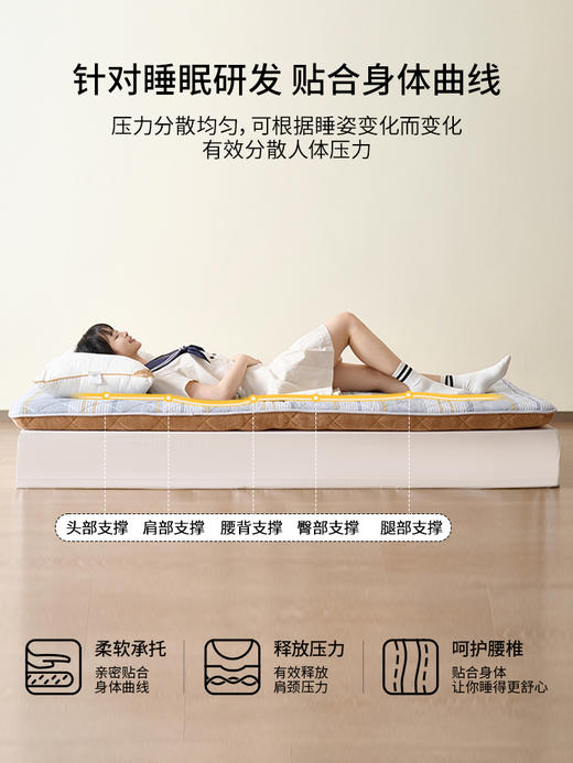 佳丽斯床垫学生宿舍单人夏季租房专用榻榻米家用软垫可折叠四季 商品图2