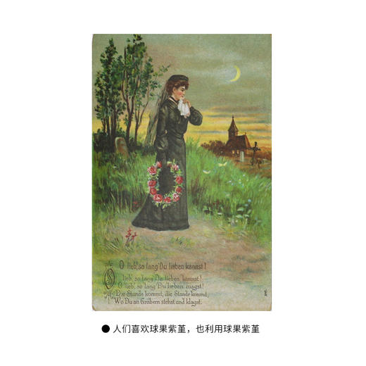 正版 药用植物 植物文化系列 塞尔日 沙 著  三联书店 商品图4