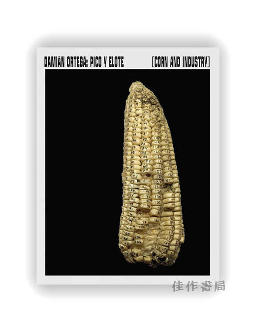 Damian Ortega: Corn and Industry / 达米安·奥尔特加：玉米与工业 商品图0