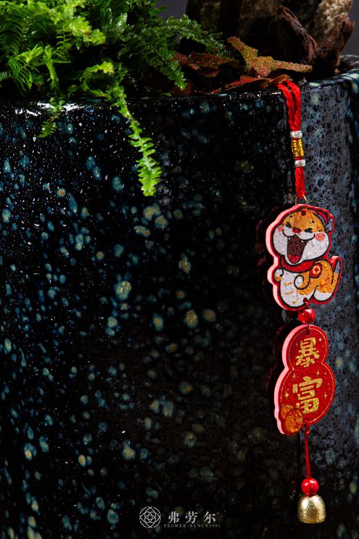 灵蛇启航 商品图3