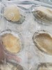 旅顺活冻鲍鱼450-500g/盒，6头/盒，品质媲美活鲍鱼，质量好，鲍鱼在鲜活状态下快速冷冻处理，最大程度保留鲜度和营养新鲜速冻，肉质紧实鲜嫩，东三省包邮。 商品缩略图2