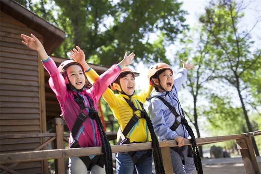 真心建议所有普通家庭：带孩子过一个低配寒假 商品图0