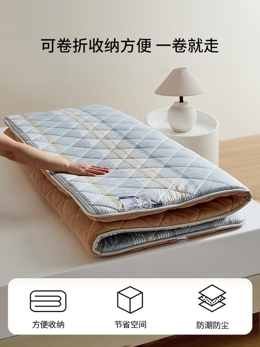 佳丽斯床垫学生宿舍单人夏季租房专用榻榻米家用软垫可折叠四季 商品图5