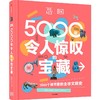 DK5000年令人惊叹的宝藏 商品缩略图0