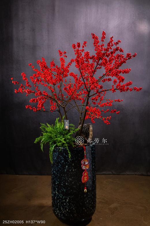 灵蛇启航 商品图0