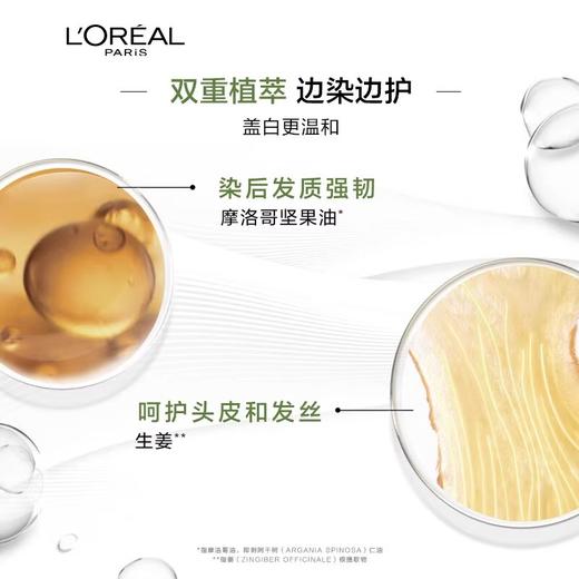 巴黎欧莱雅臻萃轻松染发乳 200ml 商品图3