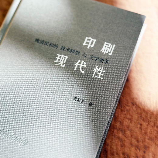 印刷现代性 晚清民初的技术转型与文学变革 雷启立 中国文学 商品图6