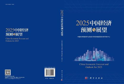 2025中国经济预测与展望 商品图3