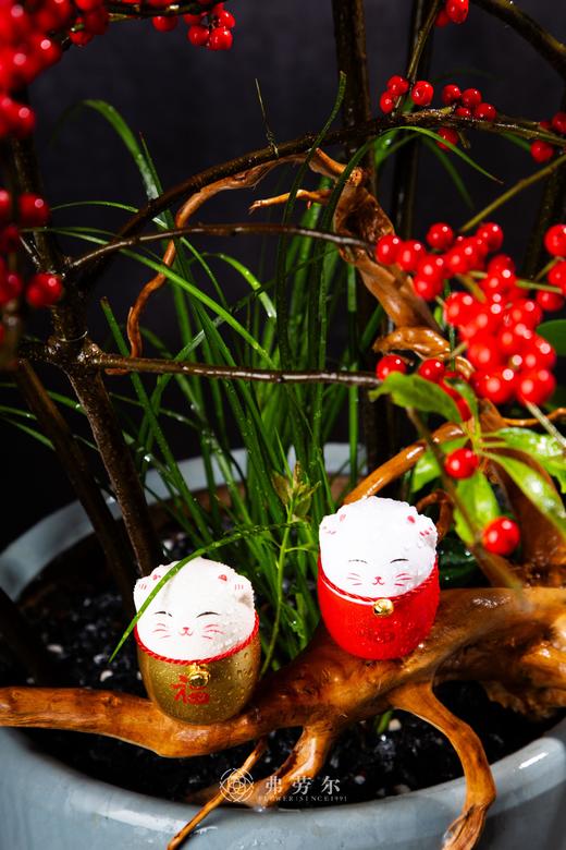 势如破竹 商品图3