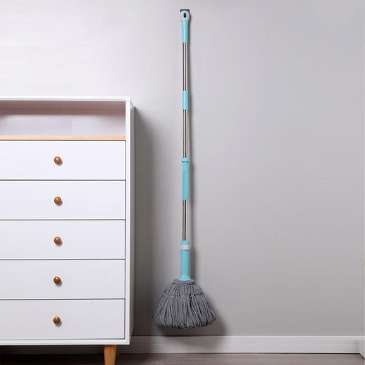 【美丽雅甩水拖】拧水拖把家用大号可替换旋转免手洗拖布墩布传统地拖+替换头 颜色随机 商品图6