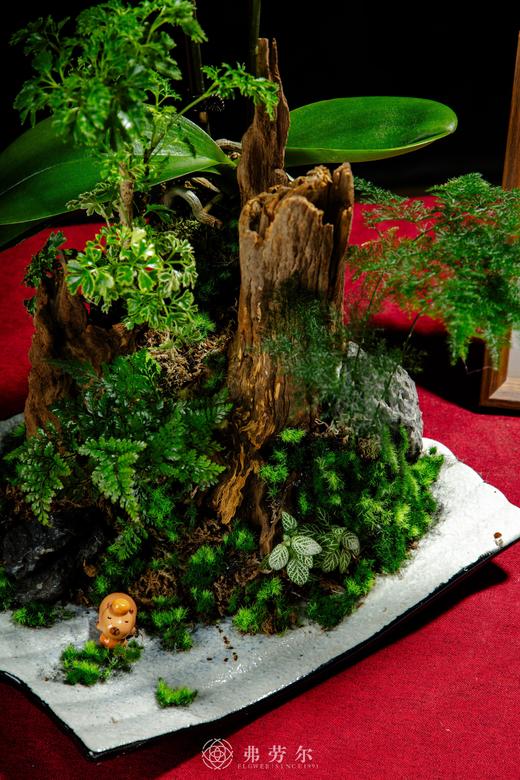 生生不息 商品图1