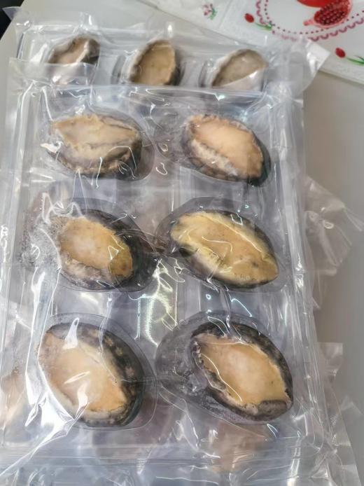 旅顺活冻鲍鱼450-500g/盒，6头/盒，品质媲美活鲍鱼，质量好，鲍鱼在鲜活状态下快速冷冻处理，最大程度保留鲜度和营养新鲜速冻，肉质紧实鲜嫩，东三省包邮。 商品图0