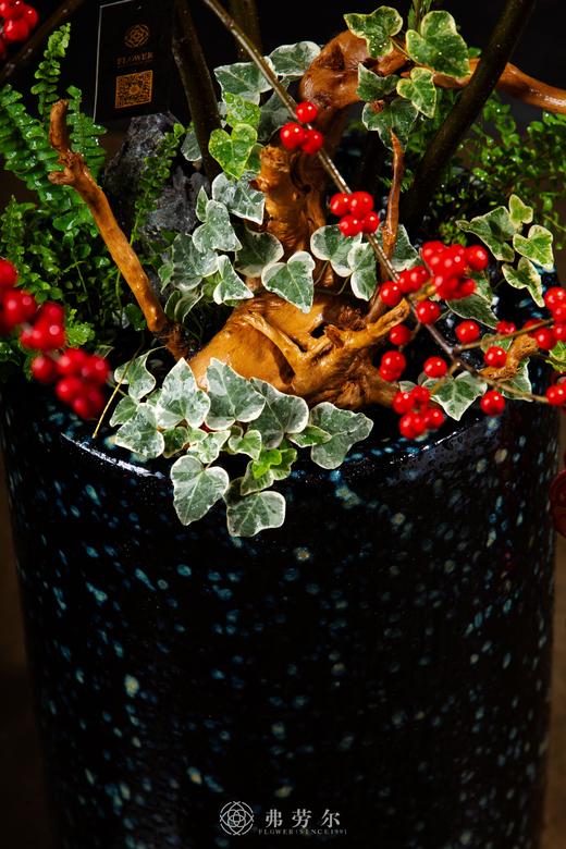 蛇来运转 商品图1